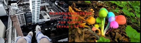 ALPHA-PVP Ельня