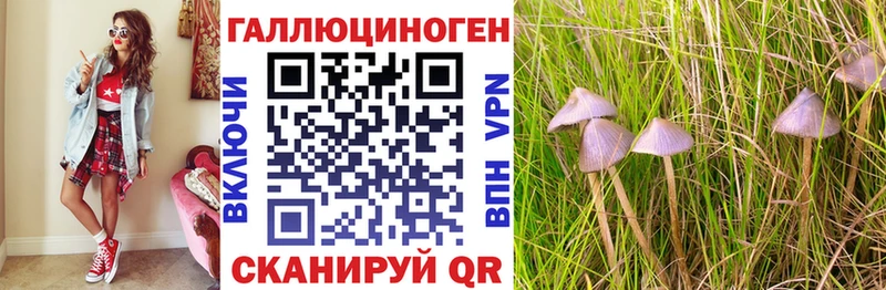 Купить  Ирбит  Псилоцибиновые грибы Cubensis 